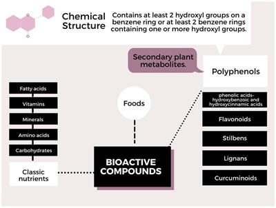 Nutrigenomics in Regulating the Expression of Genes Related to Type 2 Diabetes Mellitus